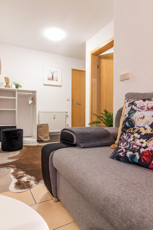 Modernes Apartment Im Gruenen I Balkon I Wlan I Stellplatz 슈바르첸베르크 외부 사진